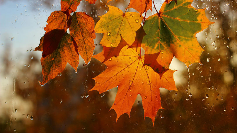 Cer noros, izolat cu ploi: Prognoza meteo pentru următoarele 24 de ore.