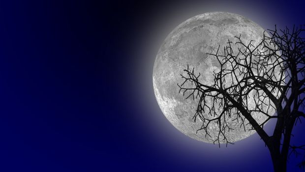 Astronauții ruși vor păși pe Lună în anul 2029.