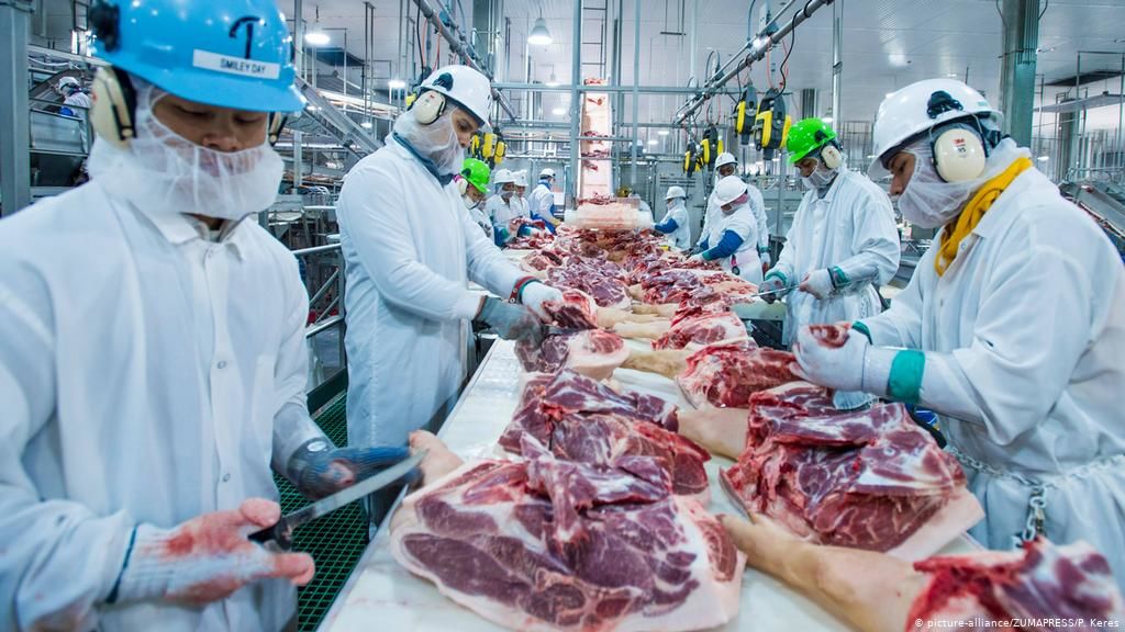 В Германии около 400 сотрудников мясокомбината заразились коронавирусом.