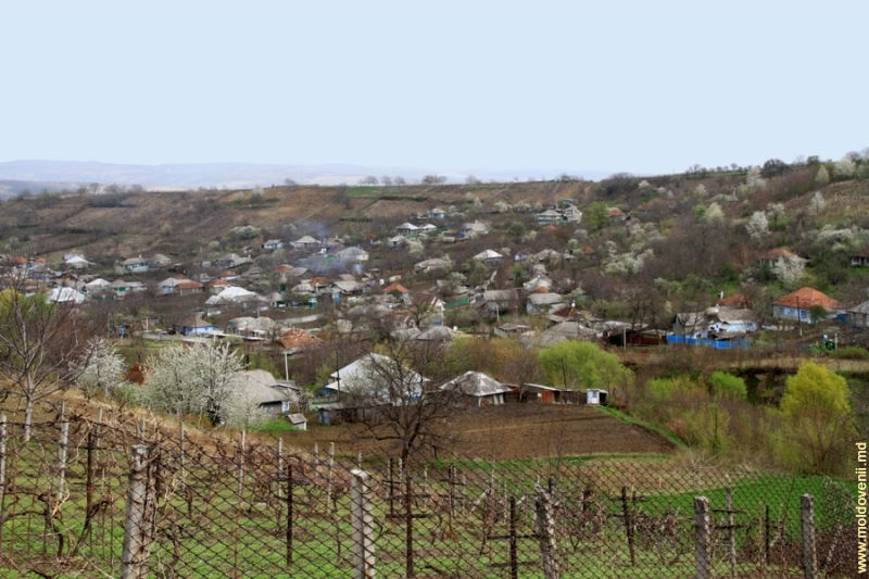 НБС: Молдавские села зависят от переводов из-за рубежа.