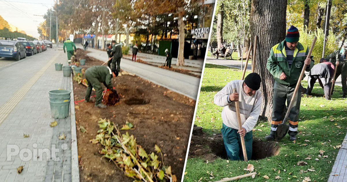 Campania de plantare continuă: Mii de arbori și arbuști vor fi sădiți în Capitală.