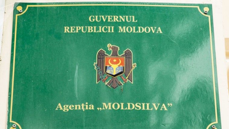 В агентстве Moldsilva назначен новый директор.