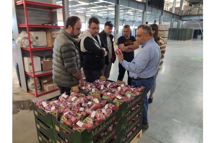 Турецкая компания заинтересована в яблоках, выращенных в Молдове.