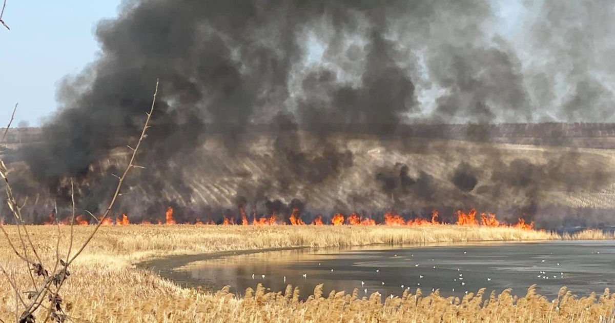 Incendiu de vegetație uscată lângă Vatra: La fața locului au intervenit două echipaje de pompieri.