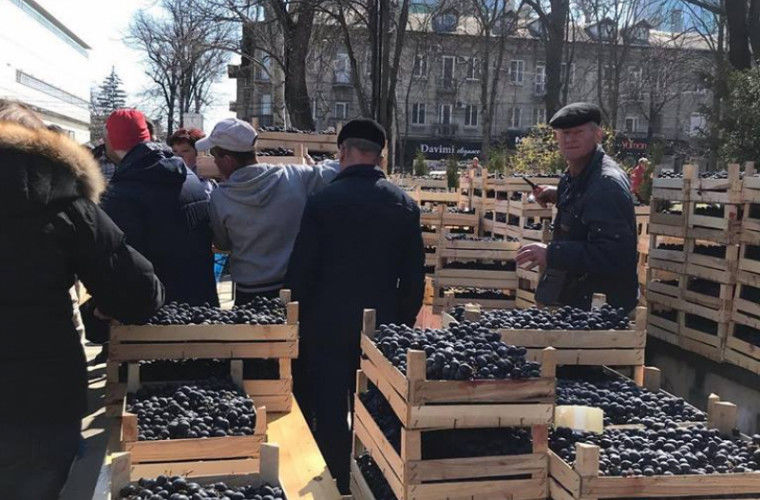 Тонны винограда были проданы на ярмарке в парке Кафедрального собора.