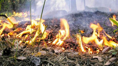 Sezonul incendierii gunoaielor în mijlocul drumului se redeschide în mai toate satele din Moldova. Foto: noi.md