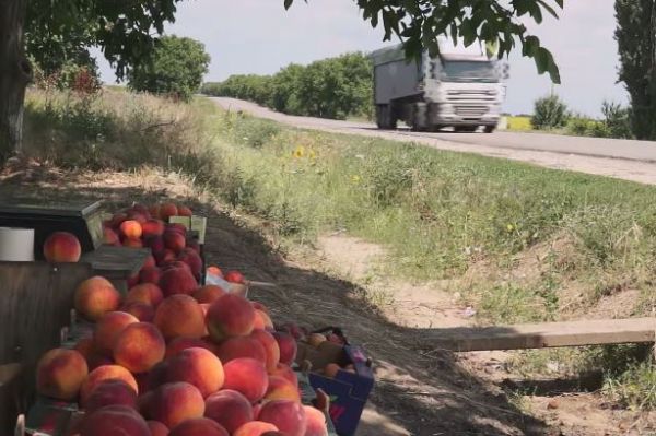 Предприниматели утверждают, что сегодня очень тяжело торговать с Европой.