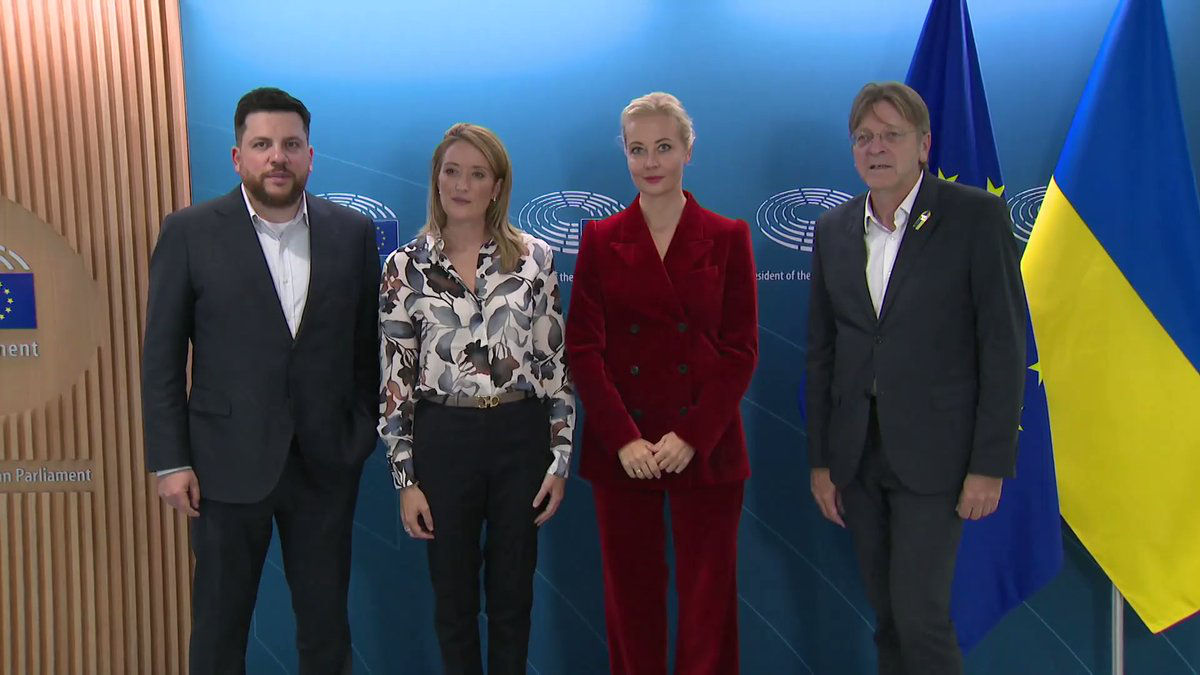 Европарламент поддержит глобальную кампанию Free Navalny.