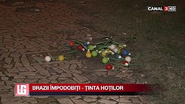 Furt fără margini. Brazii împodobiţi au devenit ţinta hoţilor. Foto: Captură video
