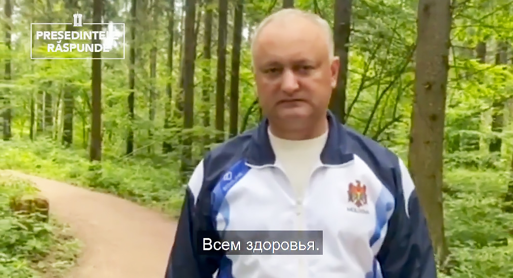 Додон записал видео из подмосковного леса.