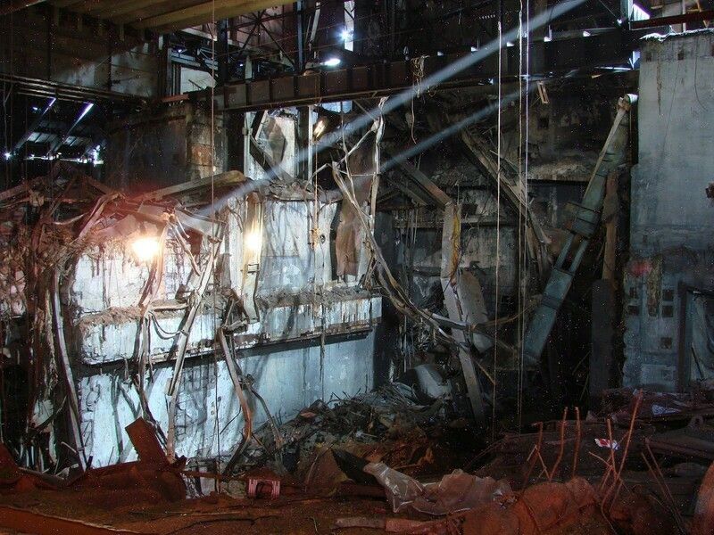 Чернобыльский грибок может защитить людей от радиации.