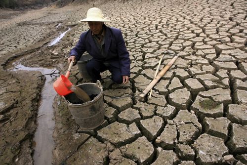 Половина населения Земли страдает от нехватки питьевой воды