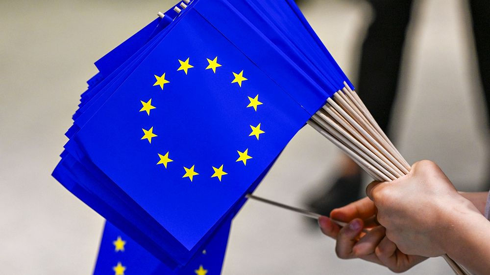 Выборы в Европейский парламент пройдут 6-9 июня 2024 года.