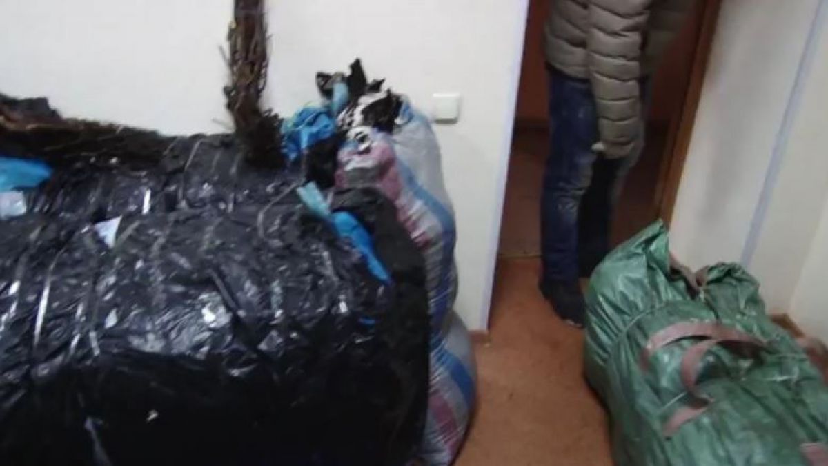 Inspectorii Rosselkhoznadzor au distrus peste 6 mii de butași de trandafiri din R. Moldova. Foto: captura video