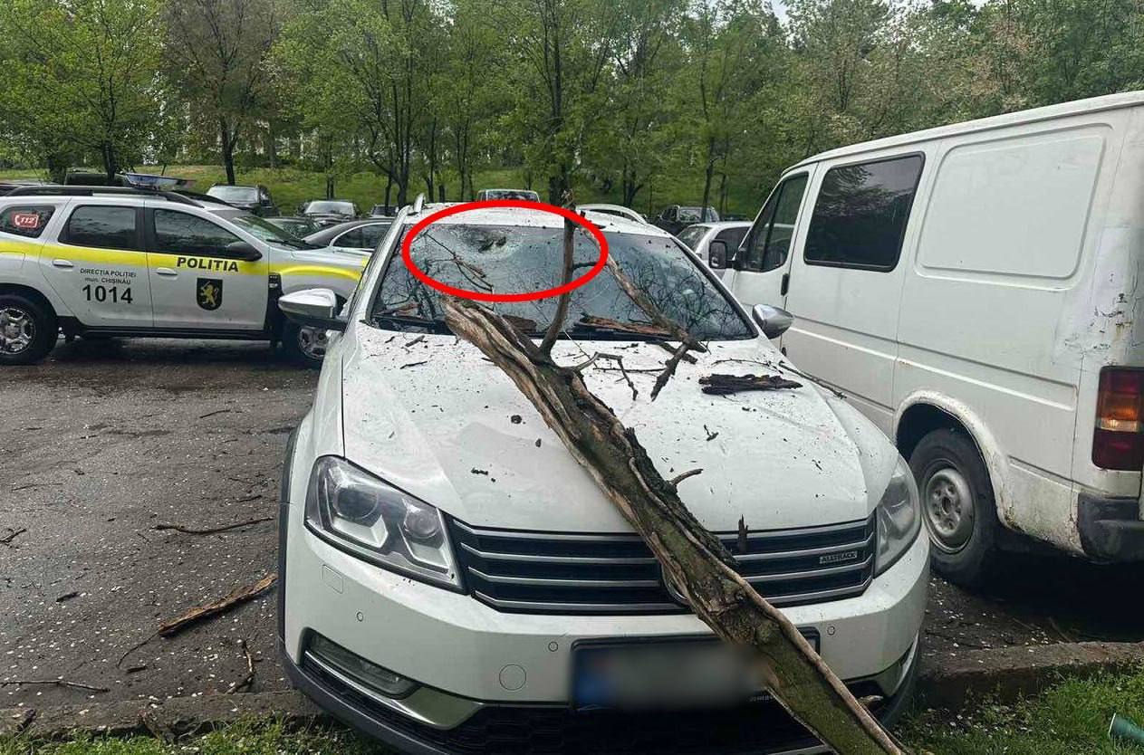 В Кишиневе из-за сильного ветра на машины стали падать ветки