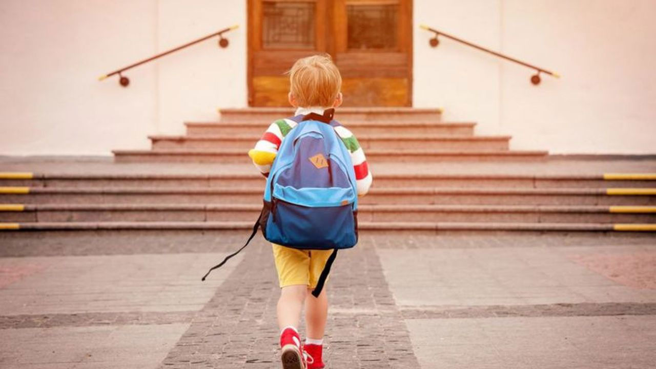 Elevii din ţară vor merge în această sâmbătă la ore.