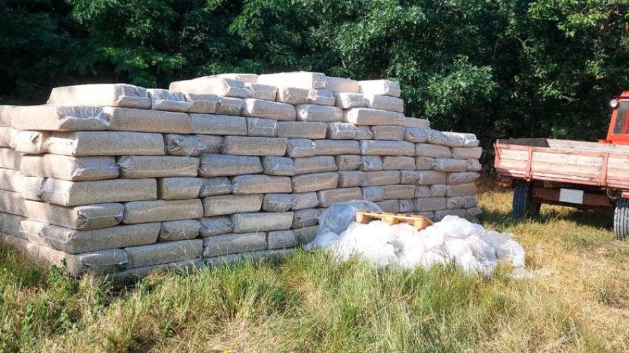 В Молдову прибыла первая партия технической конопли.