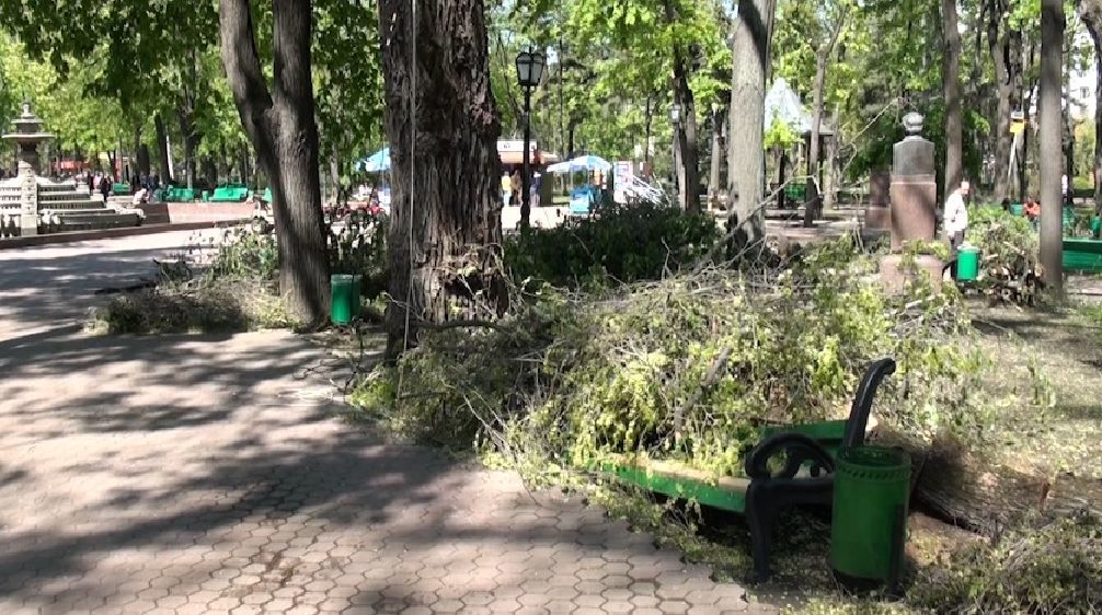 В ЖЭКе–23 не хватает рабочих, поскольку ее директор снял со счета перечисленные дополнительно для оплаты труда 50 тыс. леев.