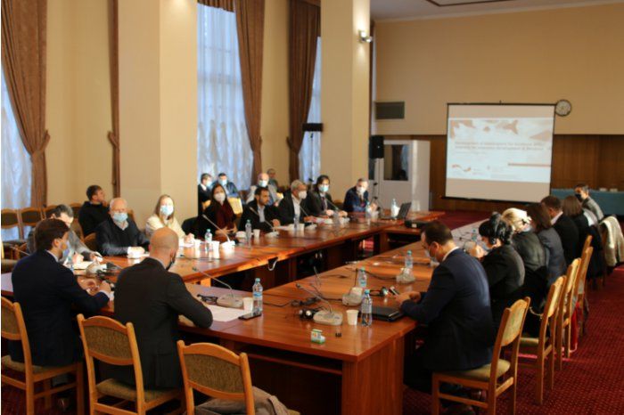 Свободные экономические зоны Тараклии, Вулканешт и Сорок будут иметь градостроительные планы.