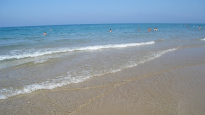 Din start, femeia a bănuit-o de comiterea infracţiunii pe nepoata sa, care a fost plecată într-o vacanță la mare cu prietenii.