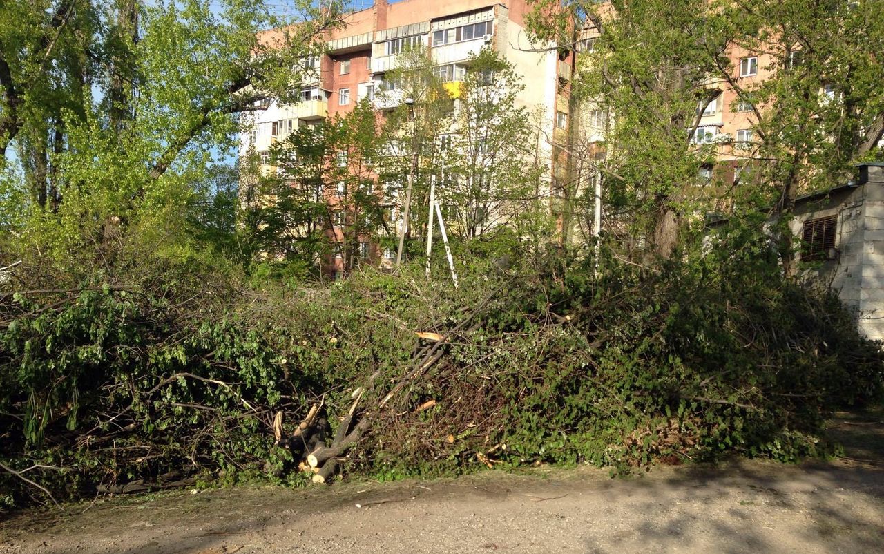 Cimitirul Eroilor din sectorul Botanica al capitalei ar fi devenit depozit pentru crengile adunate în urma calamității. 