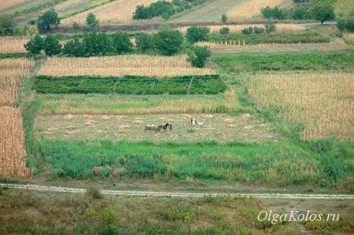 Представители китайского бизнеса заинтересованы в аренде сельхозугодий Молдовы.