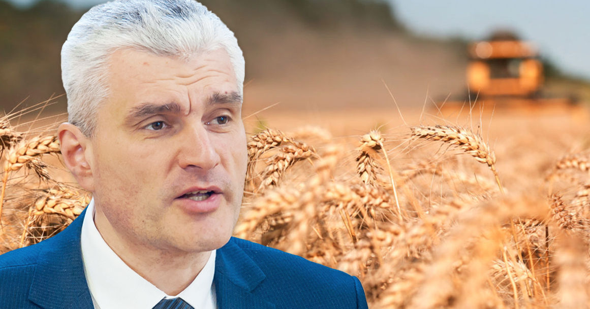 Слусарь: Продажа земель иностранным компаниям станет ударом для фермеров.