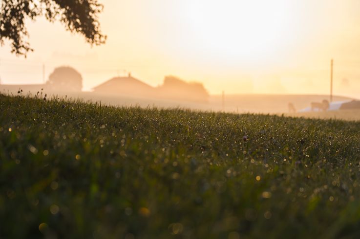 În programul de subvenții pentru agricultori au fost făcute schimbări