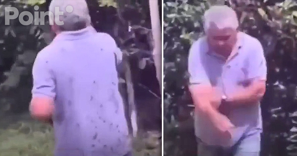 Пчёлы насмерть закусали бывшего чиновника в Бразилии.