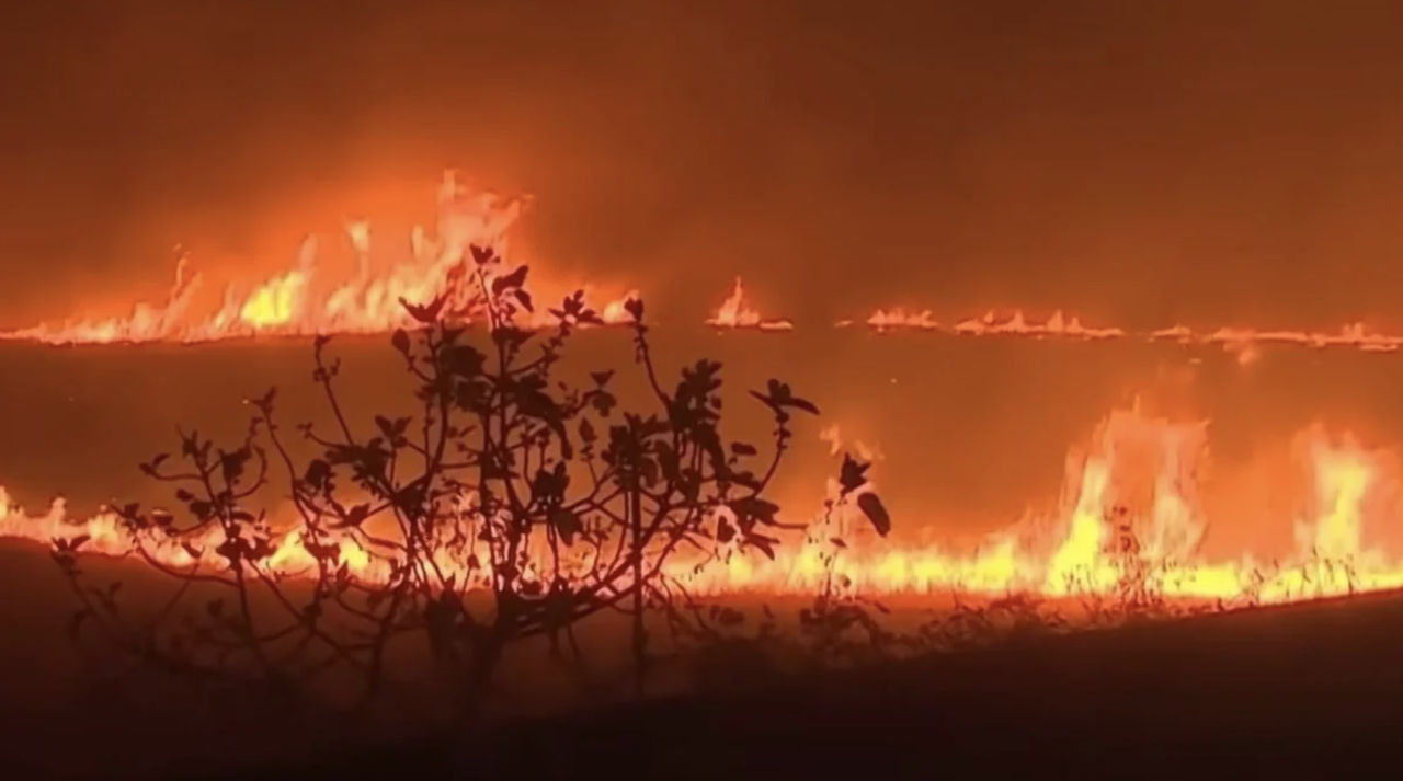Schimbarea climei a crescut de 20 de ori probabilitatea mega incendiilor în Spania.