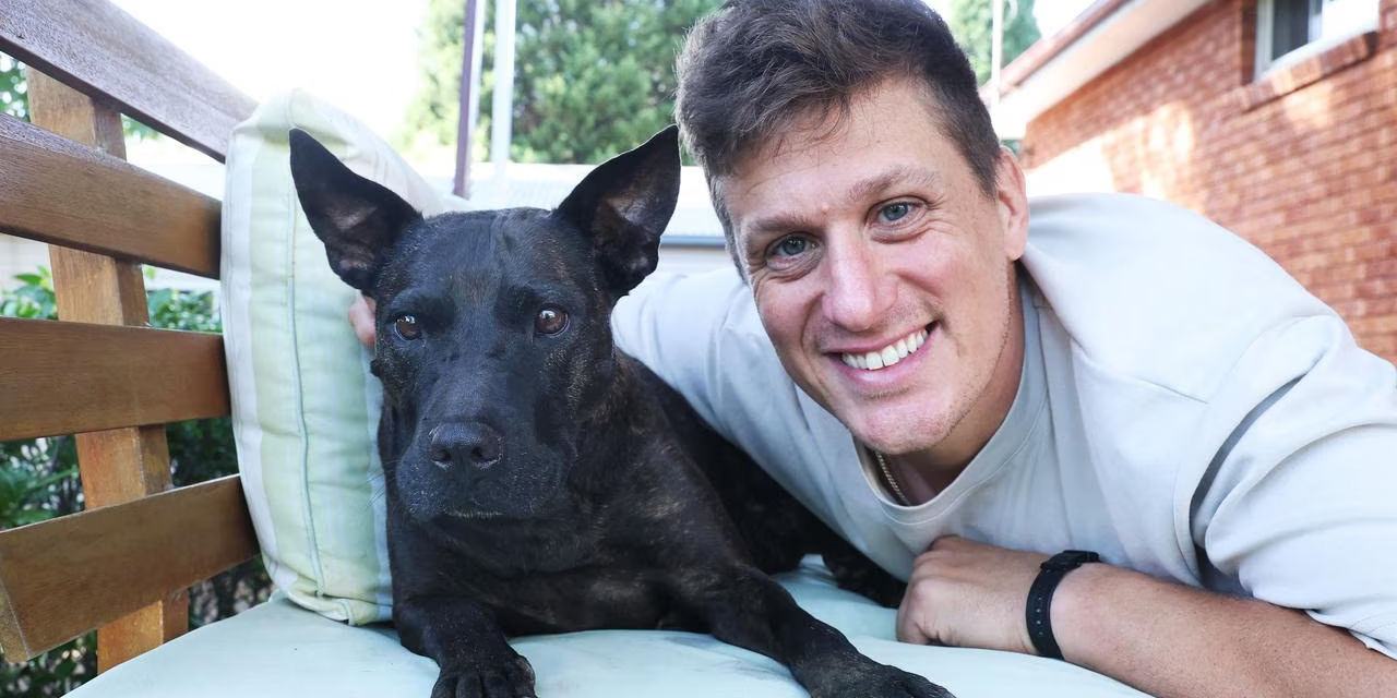 Австралиец с помощью ИИ создал вакцину от рака для своей собаки