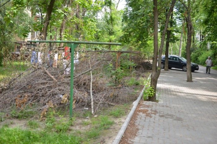 Примэрия разрешила физическим и юридическим лицам бесплатно забрать ветки.