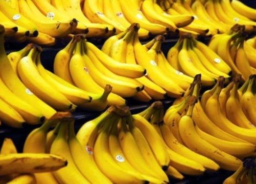 Culturile de banane, afectate de un virus care circulă în întreaga lume