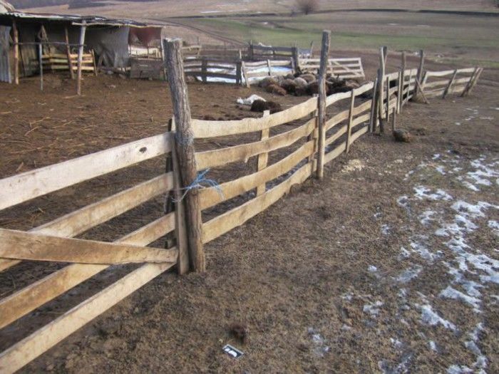 Женщина скончалась в овчарне, через 4 дня после жестокого избиения сожителем-пастухом. Фото: buzau.net.
