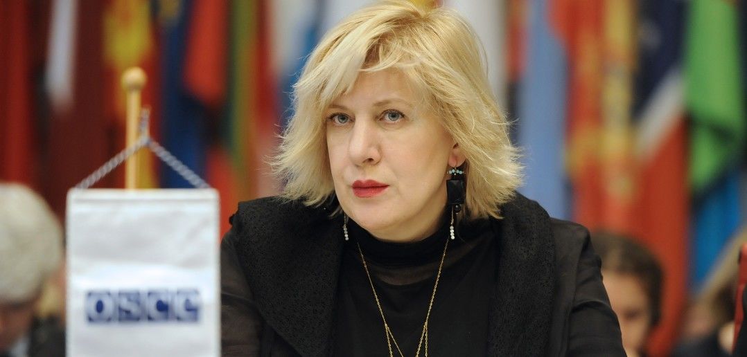 Комиссар Совета Европы по правам человека Дуня Миятович.