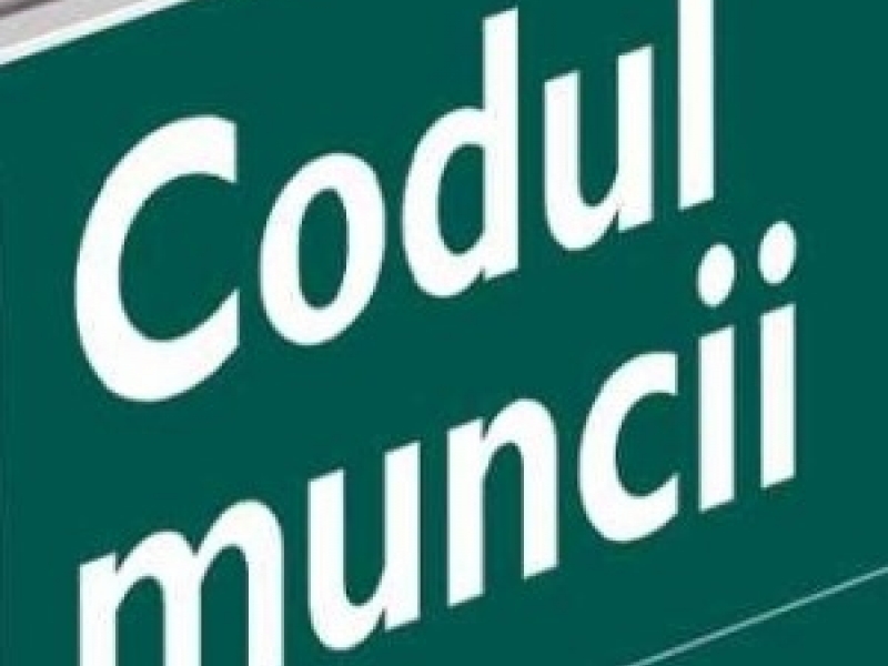 Noul clasificator al ocupaţiilor va intra în vigoare în momentul publicării lui în Monitorul Oficial al Republicii Moldova, adică în aprilie 2014, şi urmează a fi implementat pînă pe 31 decembrie 2014.