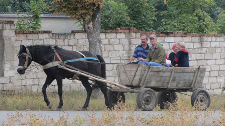 Acordarea subvențiilor pentru îmbunătățirea nivelului de trai în sate