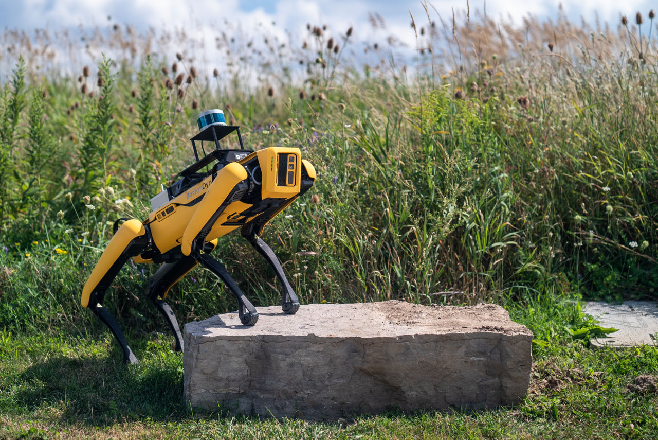 США отправят в Украину робота-собаку от Boston Dynamics для разминирования.