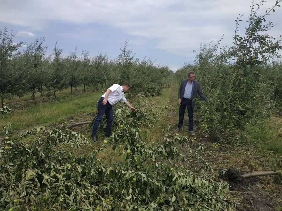 Додон призвал создать комиссию в связи с последствиями непогоды.
