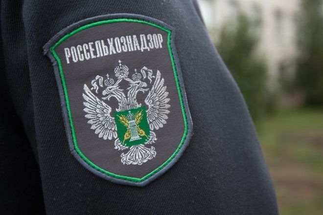 Молдову призвали прекратить сертификацию ряда экспортеров фруктов.