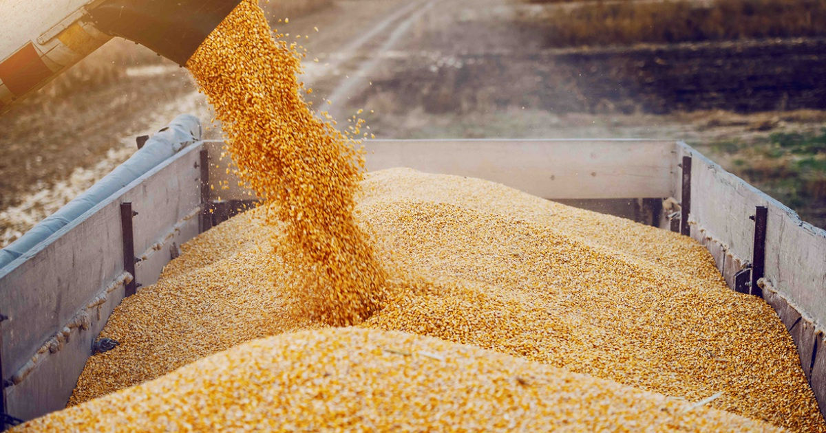 Четверть продуктов питания из Молдовы уходит в офшоры.