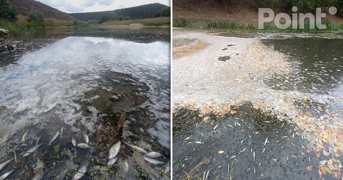 Râul Răut, grav afectat de poluare fecală și chimică.