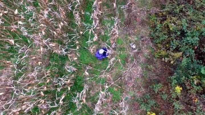 Momentul în care o dronă salvează o bătrână rătăcită într-un lan de porumb