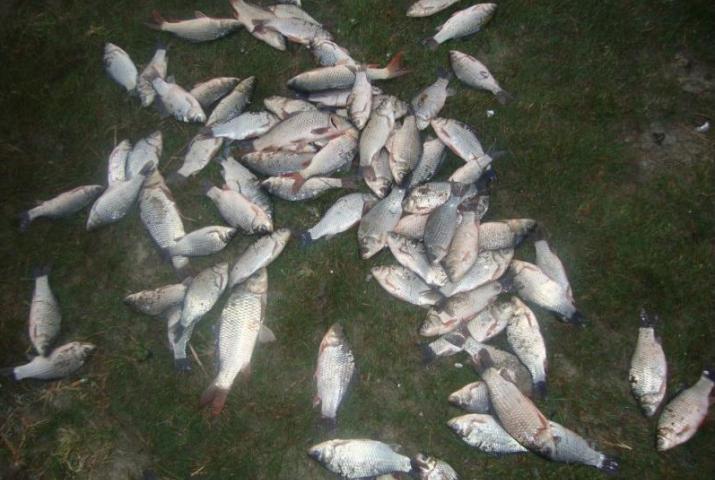Браконьеры оштрафованы на 400 леев каждый.