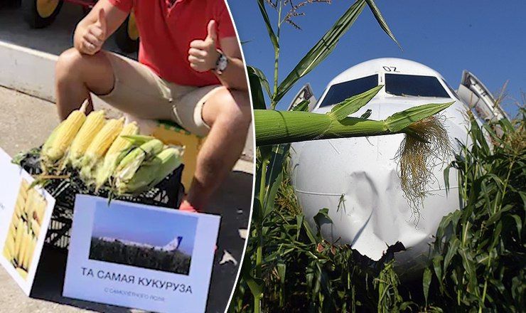 Предприятие мужчины может оказаться выгодным — один килограмм "той самой кукурузы" стоит 500 рублей.