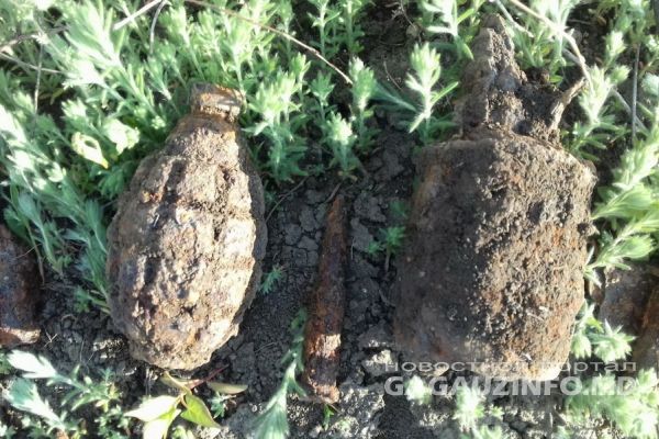 В общей сложности мужчина нашел 156 единиц боеприпасов.
