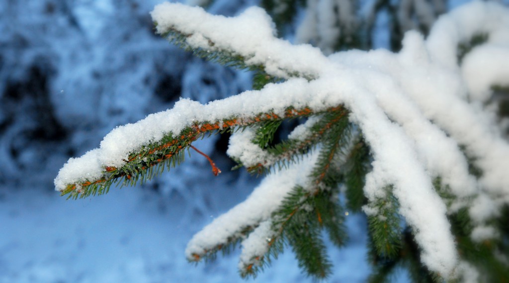 Fără zăpadă de sărbători. Potrivit meteorologilor în acest an magia sărbătorilor va fi umbrită de ploi.