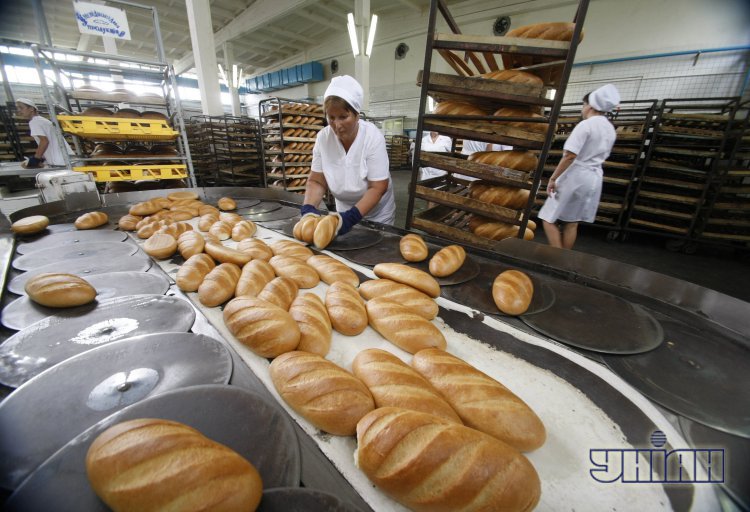 Практически 80% энергоносителей Украина покупает за рубежом.