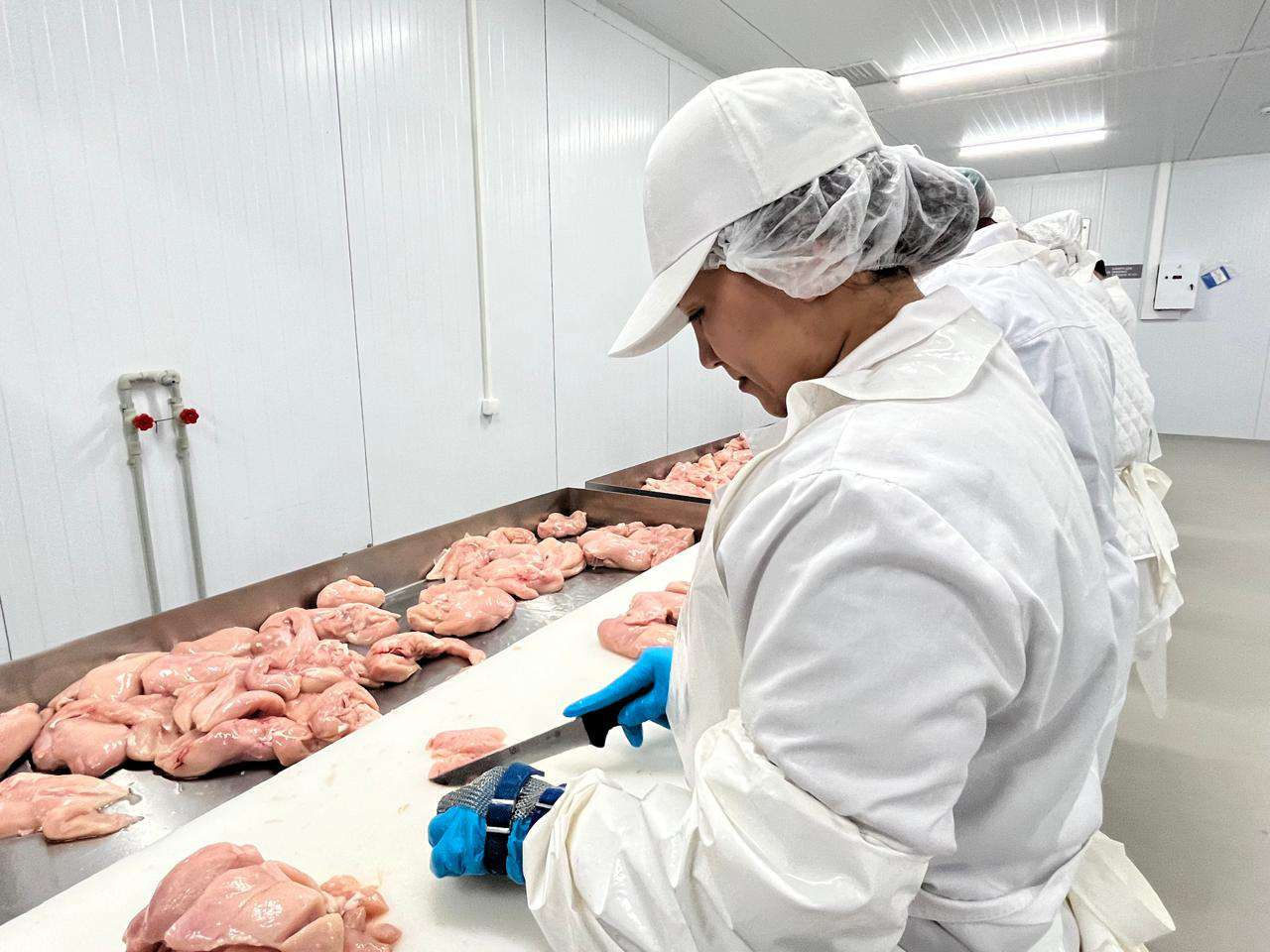 Producătorii din R. Moldova vor putea exporta în UE preparate din carne de pasăre.