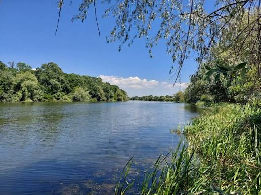 В Молдове планируют модернизировать сектор аквакультуры.
